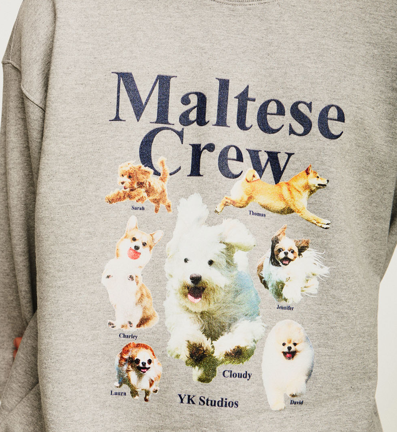 WAIKEI★Maltese crew sweatshirts Designer fashion, Seoul-fully created | W Concept