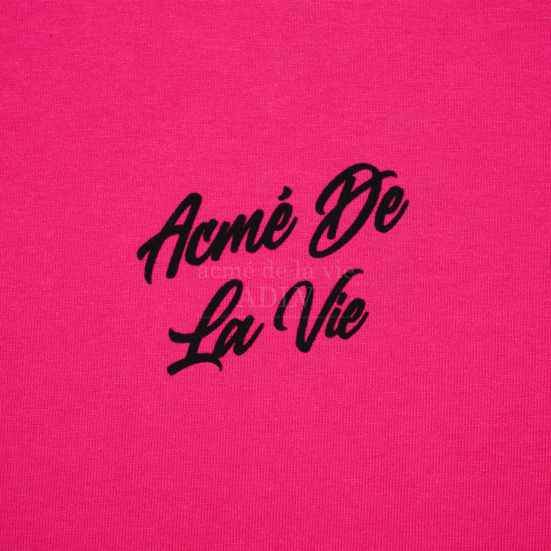 ADLV ♥ FRENCH SCRIPT LOGO SHORT SLEEVE T-SHIRT acmé de la vie ADLV SCRIPT LOGO PRINTING SHORT SLEEVE T