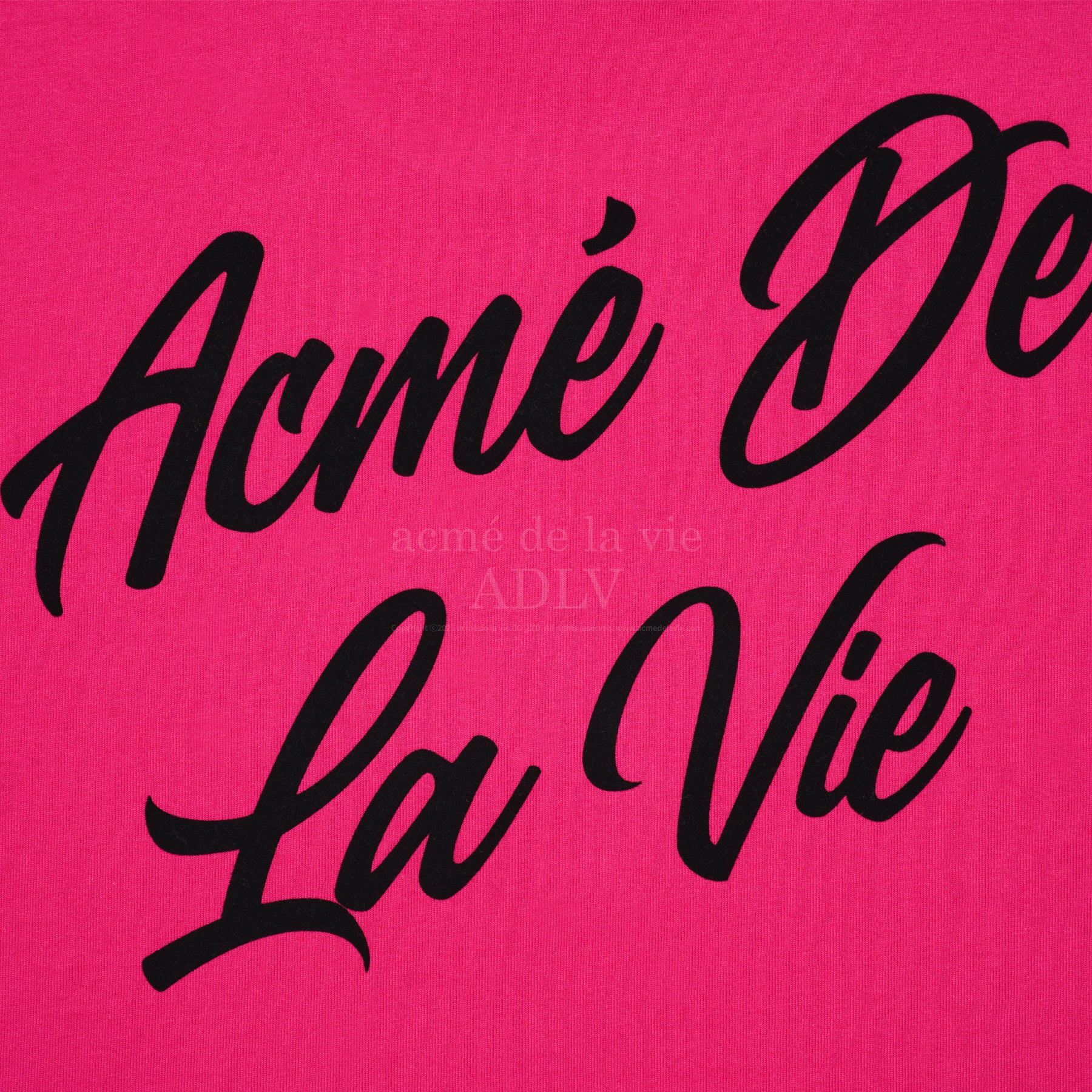 acmé de la vie ADLV SCRIPT LOGO PRINTING SHORT SLEEVE T