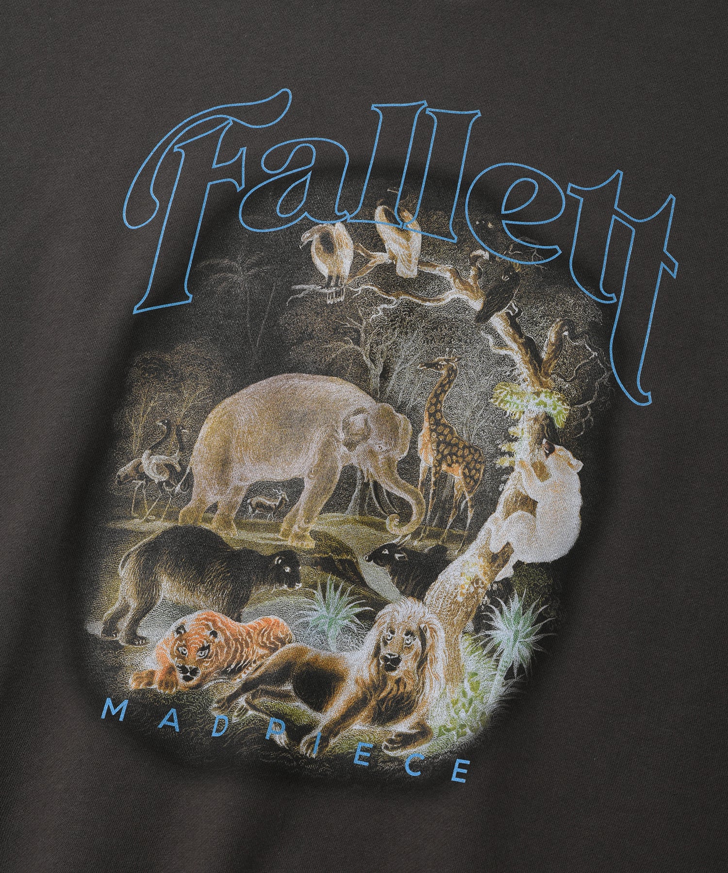 Tシャツ・カットソー Fallett 22FW Serengeti Sweatshirt Charcoal FA2200CR01CH SERENGETI SWEATSHIRT CHARCOAL - FALLETT | 60% - Asian